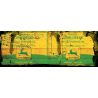 BIDON ROND DECO 1 LITRE : DEERE DIRTY