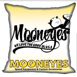 COUSSIN : MOON FELIX THE CAT SLEEP