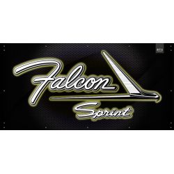 ENSEIGNE LUMINEUSE : RECTANGLE 100X50CM LED - FALCON FORD SPRINT