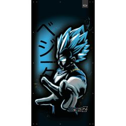 ENSEIGNE LUMINEUSE : 100X50CM DBZ DRAGON BALL VEGETA